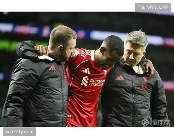 伊萨克为何难成顶级前锋：终结稳定性与战术适配性的双重瓶颈